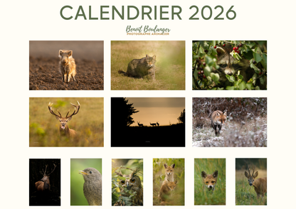 Calendrier 2026 Écoresponsable à Télécharger et Imprimer