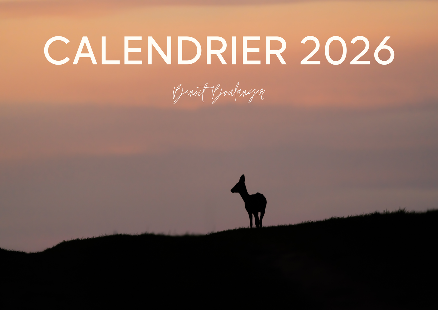 Calendrier 2026 Écoresponsable à Télécharger et Imprimer
