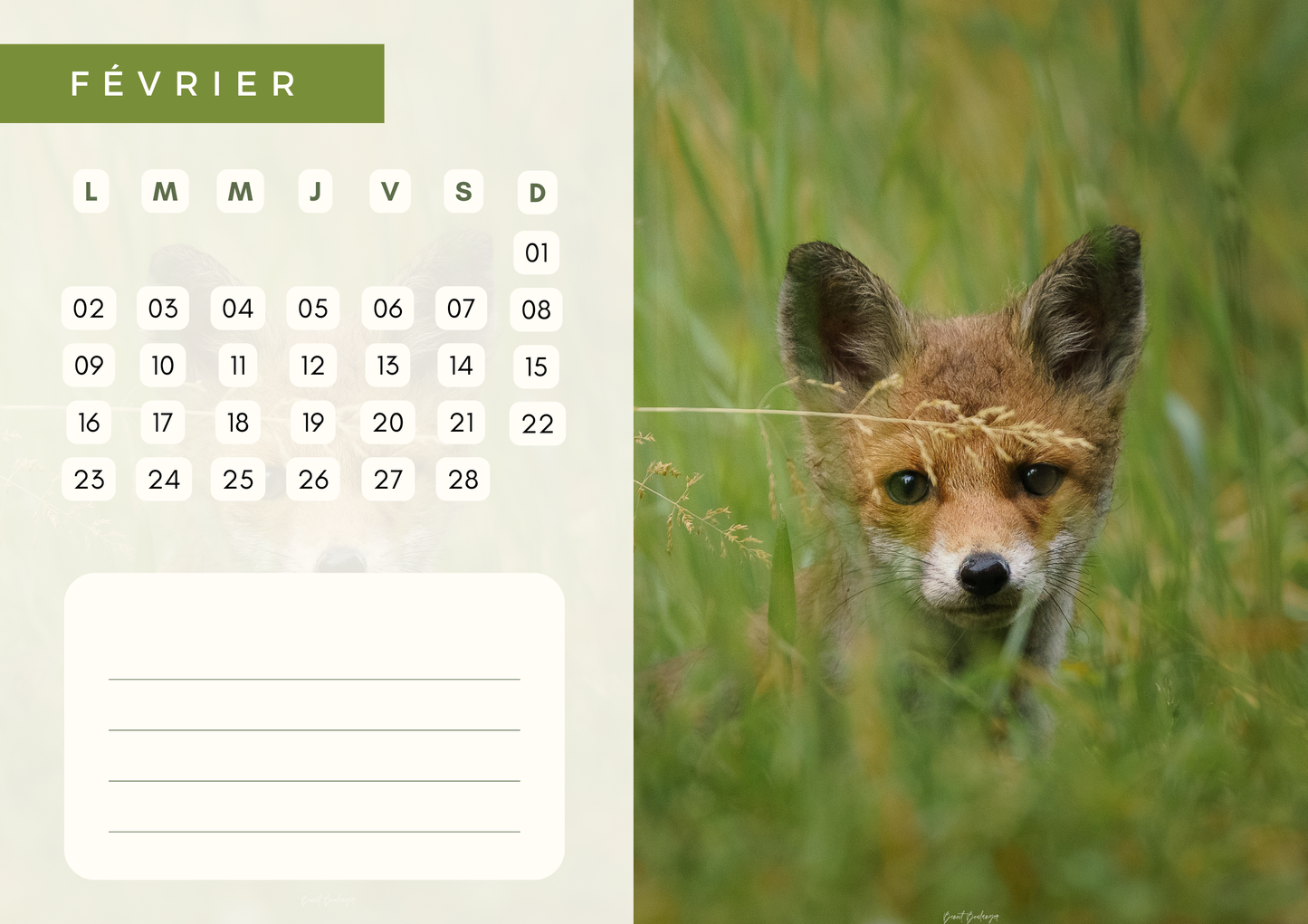 Calendrier 2026 Écoresponsable à Télécharger et Imprimer