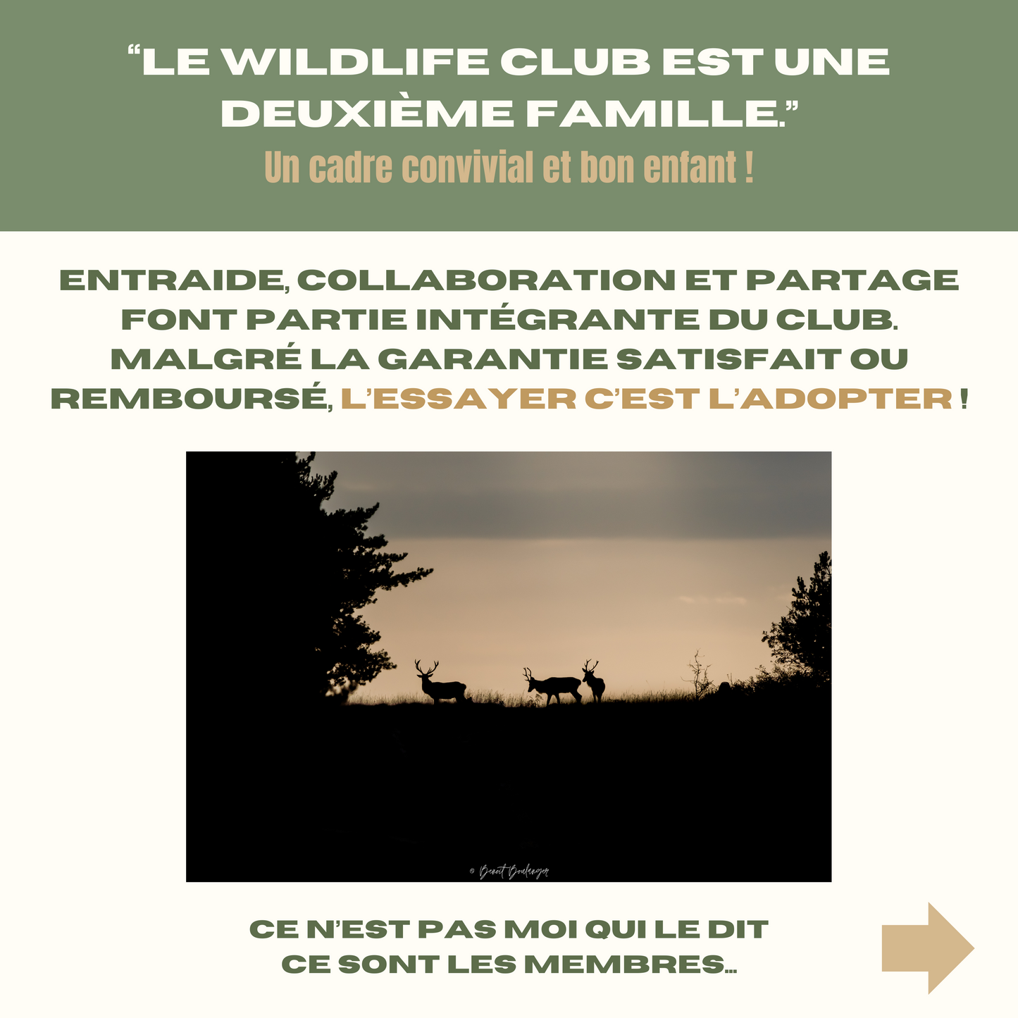 Le Wildlife Club